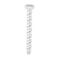 TIMCO Multi-Fix Masonry Bolts, Hex, Exterior, Silver, 10.0 x 100, Box of 50