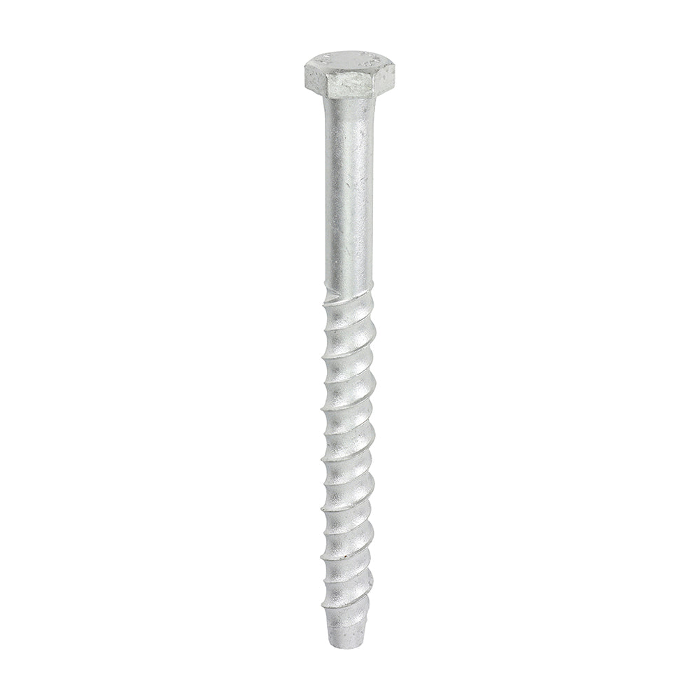 TIMCO Multi-Fix Masonry Bolts, Hex, Exterior, Silver, 12.0 x 150, Box of 25