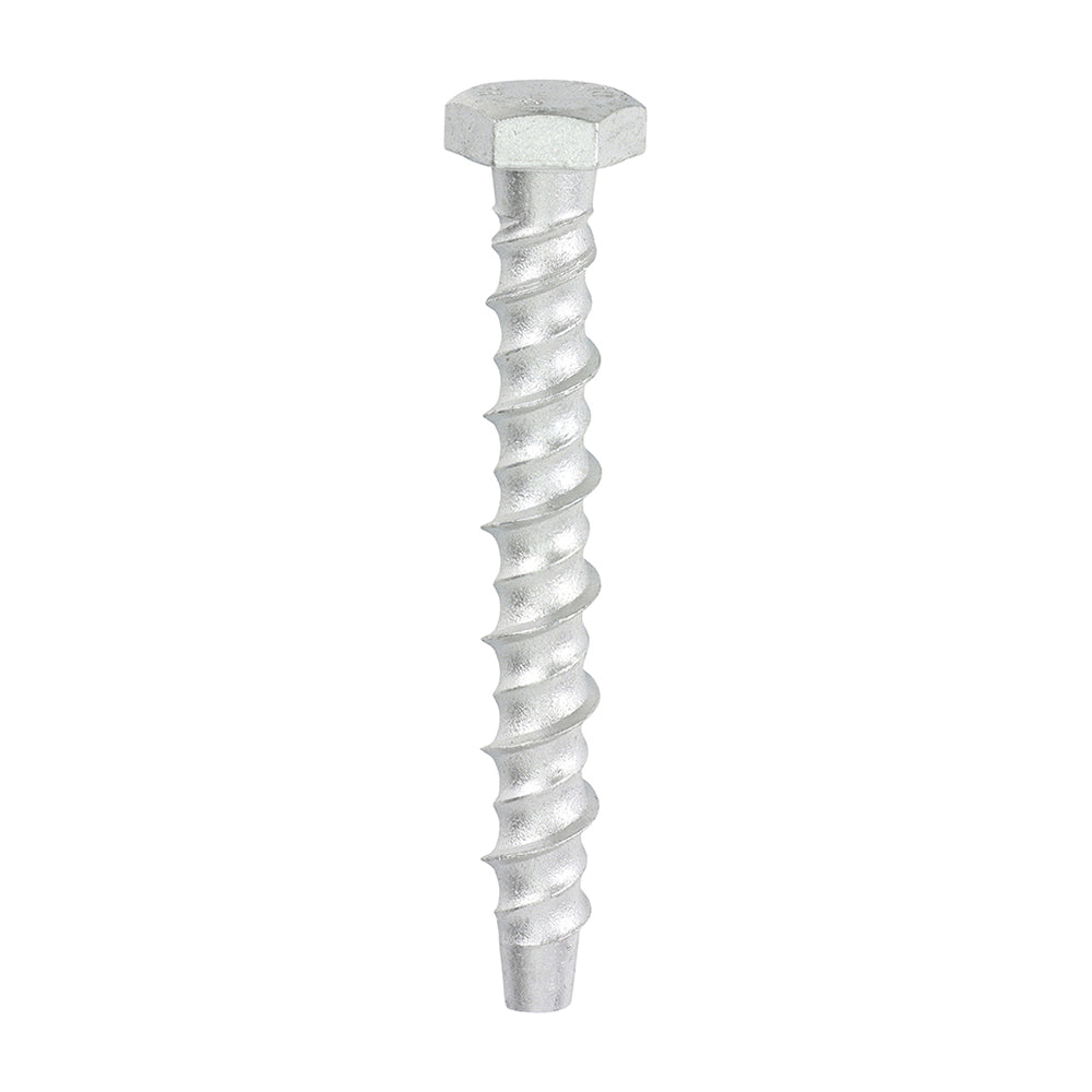TIMCO Multi-Fix Masonry Bolts, Hex, Exterior, Silver, 8.0 x 75, Box of 100